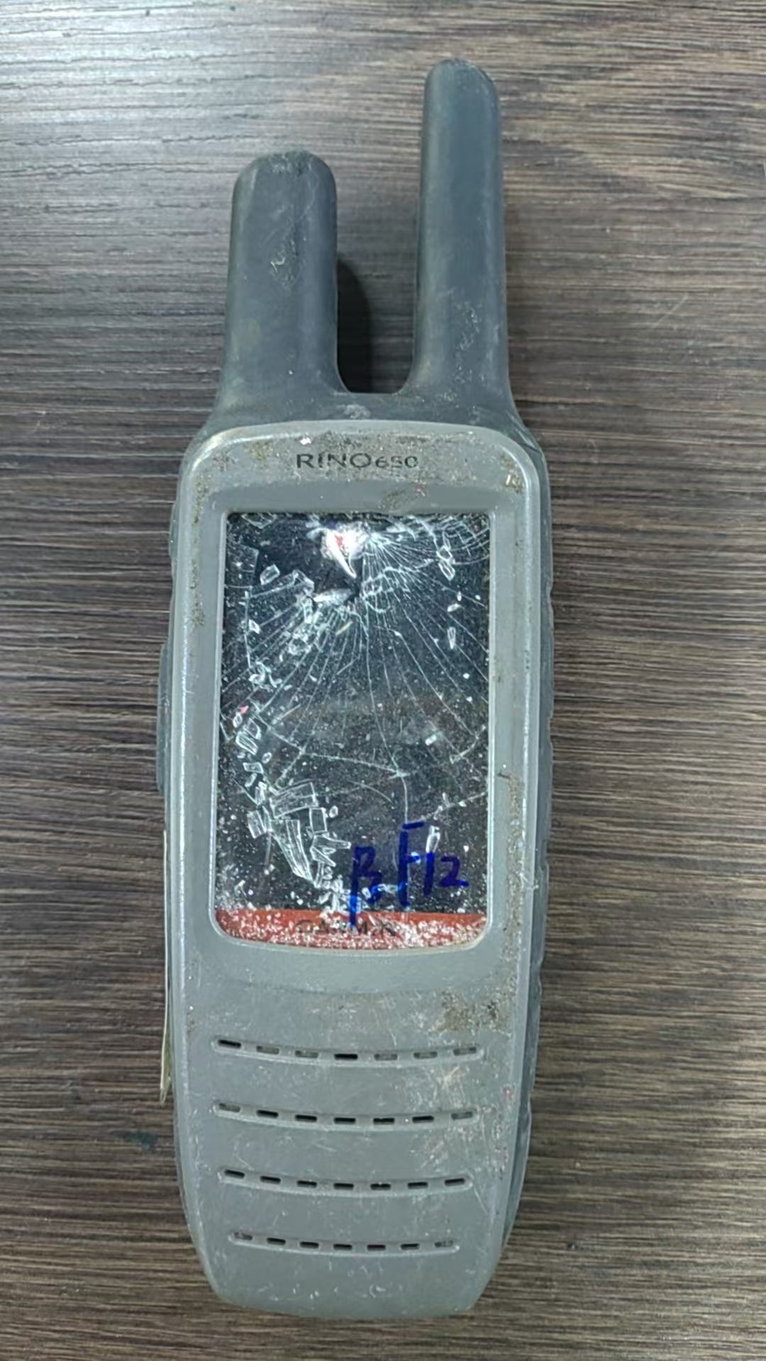 Garmin Rino 650