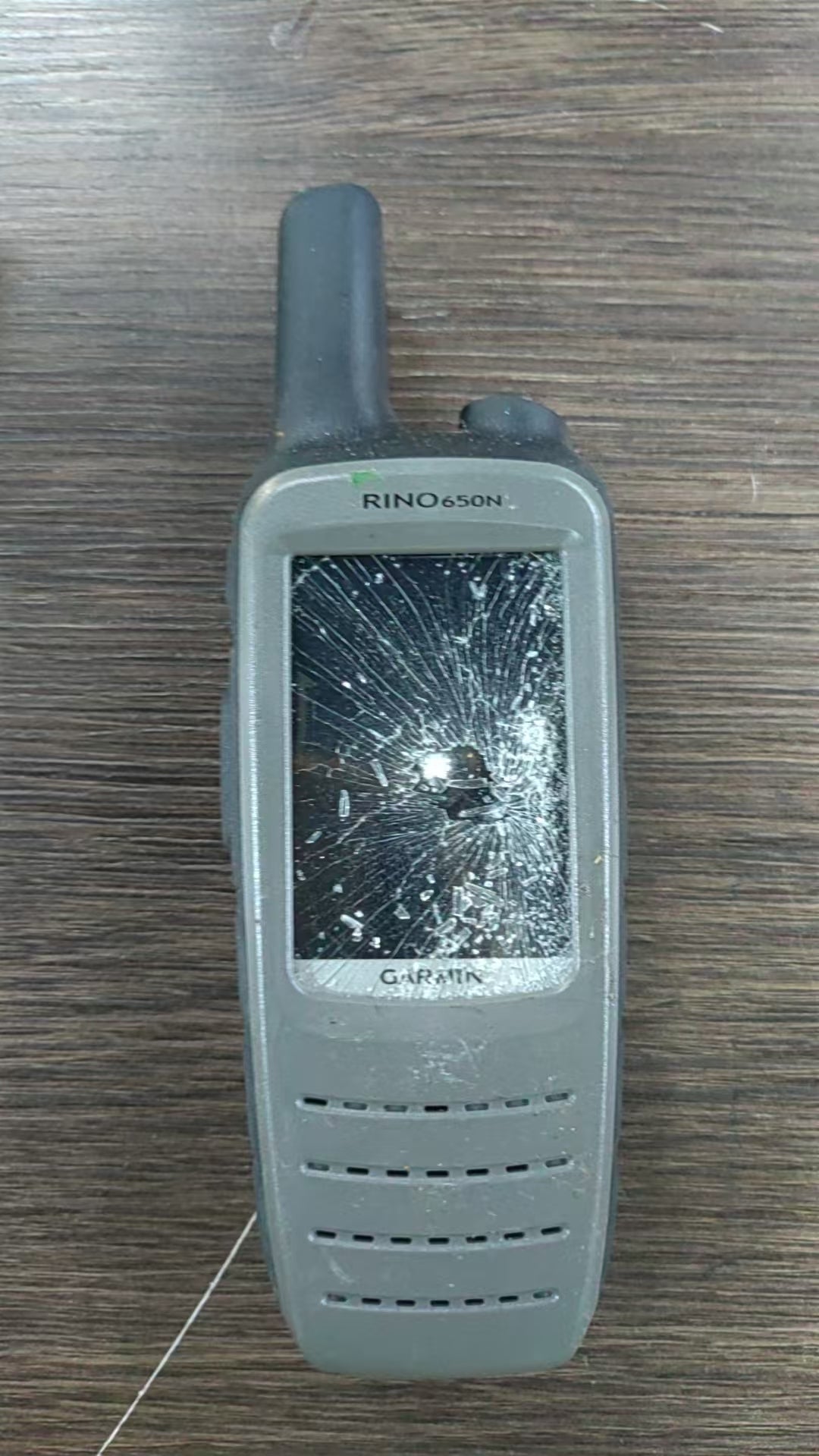 Garmin Rino 650N