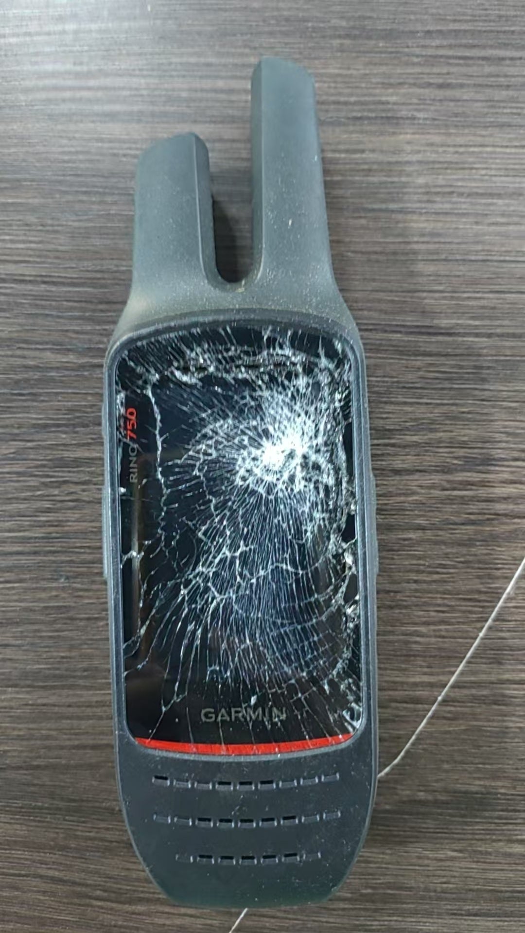 Garmin Rino 750