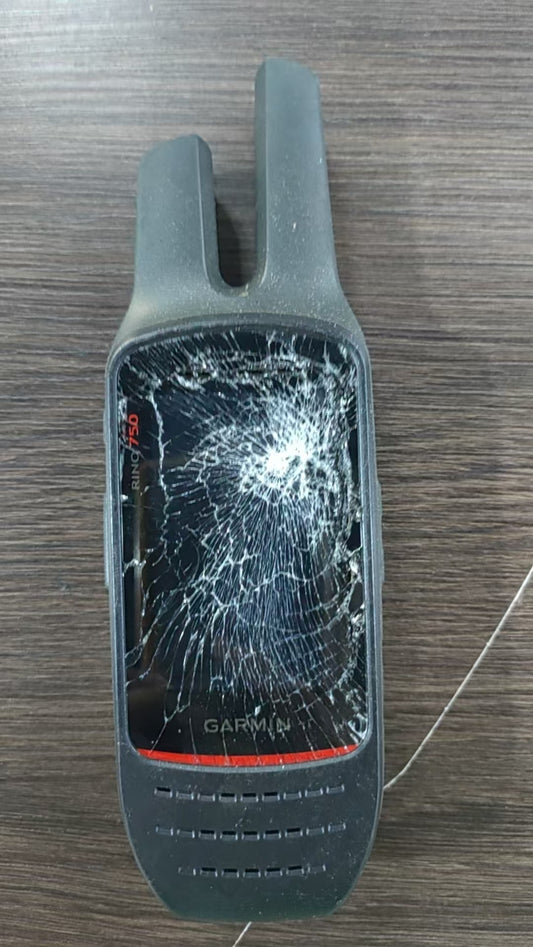Garmin Rino 750